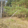 ⭐⭐⭐⭐2500 m2 urokliwa działka przy lesie z MPZP⭐⭐⭐⭐