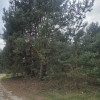 Działka Stefanówka