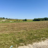 Działka Pawęzów