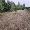 Działka budowlana min 20 arów Dąbrowa gm. Ludwin