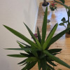 FINAL EDITION KRUCZA 78 BIZNESOWY SZACH-MAT  a kto tu mówi o szukaniu wolnego krawężnika  VIP y działają inaczej, Kowalski roluj się,  on ma być czysty