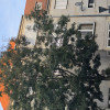 Chcecie Bajki będzie  Bajka ## Krucza 78 kancelaria CZĘŚĆ I: Brzydka prawda o  (To, o czym system milczy) Tłum patrzy na wygładzone foldery reklamowe i myśli, że kupuje „luksus”. Autor [Kruczej 78]