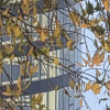 Don't worry bi happy Krucza 78 ## [DOKTRYNA GEOPOLITYCZNA] KRUCZA 78 WROCŁAW. Koniec ery memów. Czas na Architekturę Władzy i Monopol Lokalizacyjny. Polaku, ochłoń