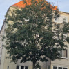 Krucza 78 Wrocław – SEVEN POINTS: Autonomiczny Monolit Biznesowy 65m²Krucza 78 [Złoty Róg]