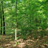 Konkurs ofert | pow. 70 m2 | 4 pokoje