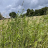 Działka 10 244 m² zabudowa mieszkaniowa i usługi