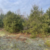 Działka 1050 m² pod zabudowę letniskową.