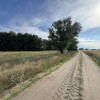 Działka Wierzbiczany ul.  