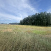 Działka Wierzbiczany ul.  