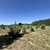 Działka Ganina ul.  