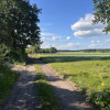 Działka Wilkowyja ul.  