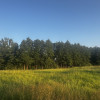 Działka Rogowo ul.  