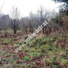 ⭐⭐⭐⭐  Działka Budowlana 1303 m Budy Grzybek ⭐⭐⭐⭐