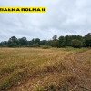Działki rolne | 2.63 ha | Chełm Śląski | NJ INVESTMENT