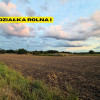 Działki rolne | 2.63 ha | Chełm Śląski | NJ INVESTMENT