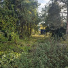 Lokal Wojkowice