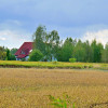 Działka Gałów
