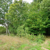 Działka Gałów