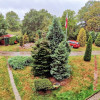 Dom z cegły plus 2 domki, 4700 m² działka, 8 km od Bałtyku