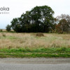 Działka Wilcza