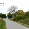 Działka Wilcza