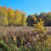 Działka Nadarzyn