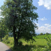 Działka Goleszów