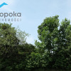 Działka Zamarski