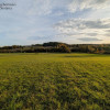 Działka Sieraków