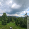 Dom Pleśna