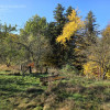 Dom Lubaszowa