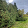 Teren inwestycyjny 4,19 ha koło Radzymina