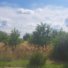 Lasy, jeziora, natura. Warunki zabudowy.