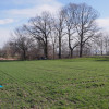 Działka Wilcza
