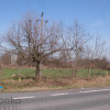 Działka Wilcza