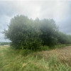 Nieruchomość - Poręby