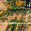 Łosiny | Działki ok. 3000 m² z WZ | Blisko lasu