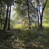 Działka Rybno Wielkie ul.  