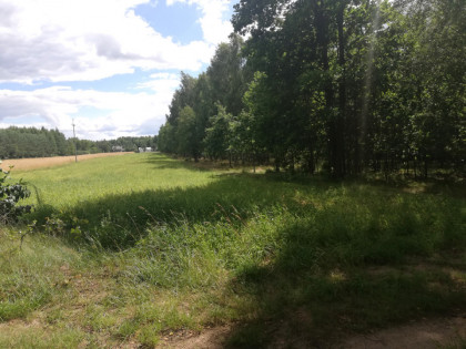 Trzy piękne działki z WZ, Izabelin, 50 km od Warszawy