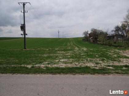 Działka budowlano - rolna w m. Łabunie k. Zamościa
