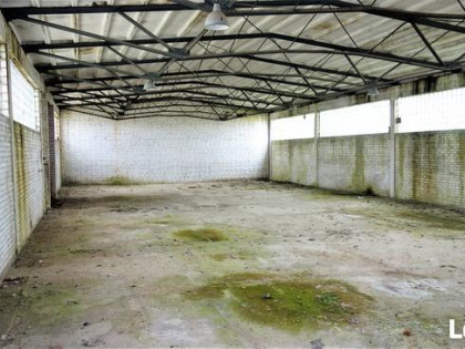 Dąbrowa Biał. * Duża działka z halami magazynowymi * Okazja