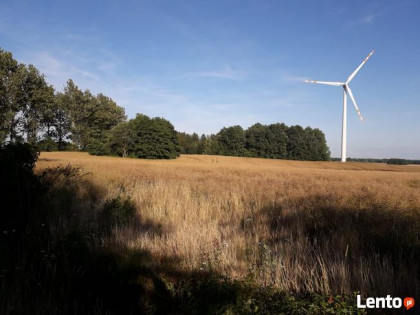 Złoże bursztynu - Działka rolna 4,8 ha - Możdżanowo - Okazja