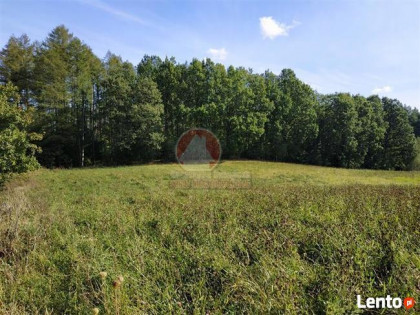 Grunt pod inwestycję pow. 5 ha Przywidz