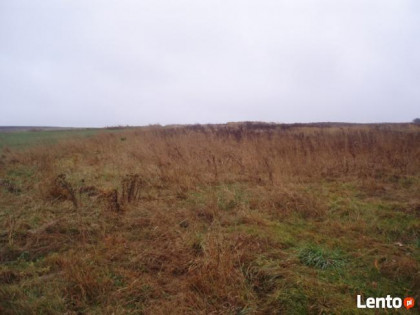 Działka 2940m2 Sąspów w studium MPZP budowlano - rolna.