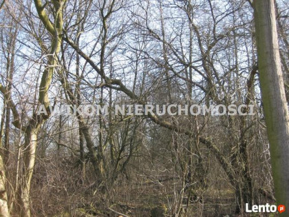 Działka budowlana Milanówek Milanówek