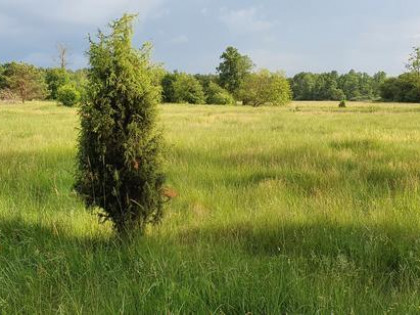 Działka rekreacyjna nad rzeką 80 km od Warszawy
