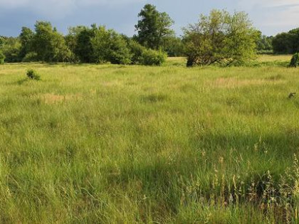 Działka rekreacyjna nad rzeką 80 km od Warszawy
