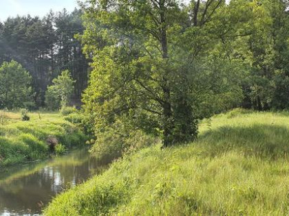 Działka rekreacyjna nad rzeką 80 km od Warszawy