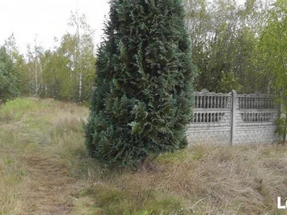 Sprzedam działkę inwestycyjną