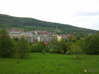 Działka, grunt na sprzedaż (woj. podkarpackie). Ustrzyki Dolne, 123 800 PLN